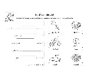 61lYW5vEAjL._SL1000_.webp