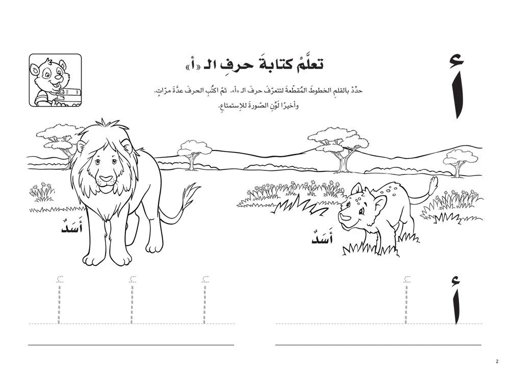 61IJgGfaBbL._SL1000_.webp