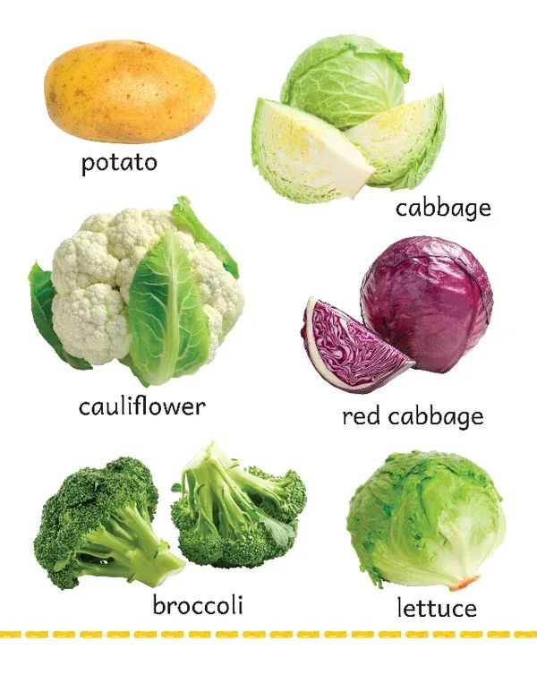 MY_BIG_BOARD_BOOK_-_VEGETABLES_s_Page_2.webp