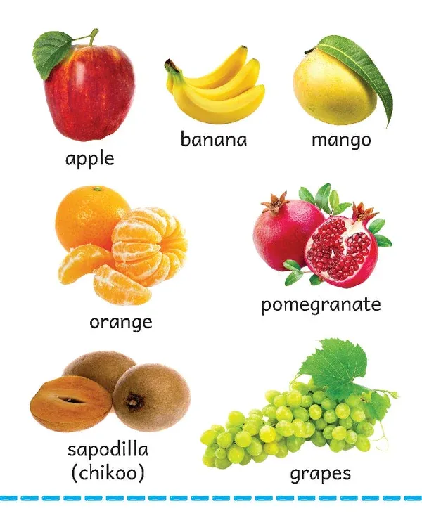 my-big-board-book-fruits-and-nuts-colourful-picture-for-toddlers-943.webp