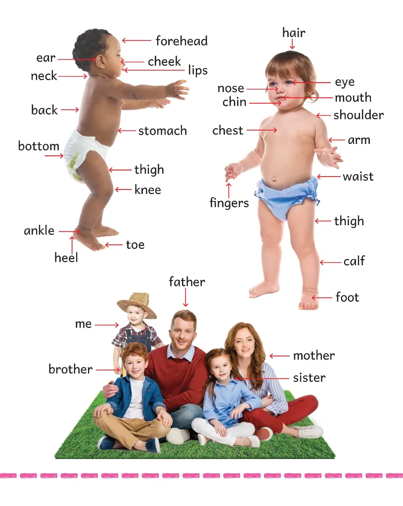 MYBIGBOARDBOOK-Firstwords_s_Page_2.webp