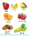 my-big-board-book-fruits-and-nuts-colourful-picture-for-toddlers-943.webp