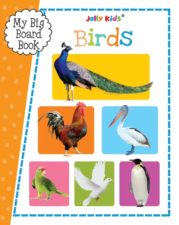 MY_BIG_BOARD_BOOK_-_BIRDS_1.webp