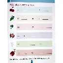 clever-beaver-series-maths-activity-workbook-age-6-224.webp