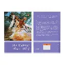 91CUKqtesEL._SL1500_.webp
