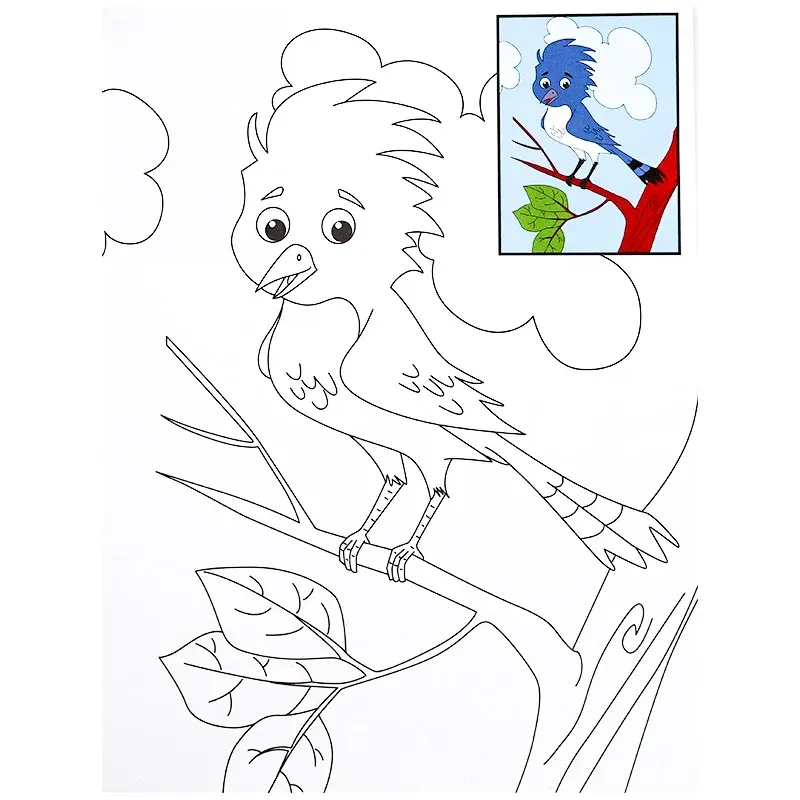 CopyColourBirds2.webp
