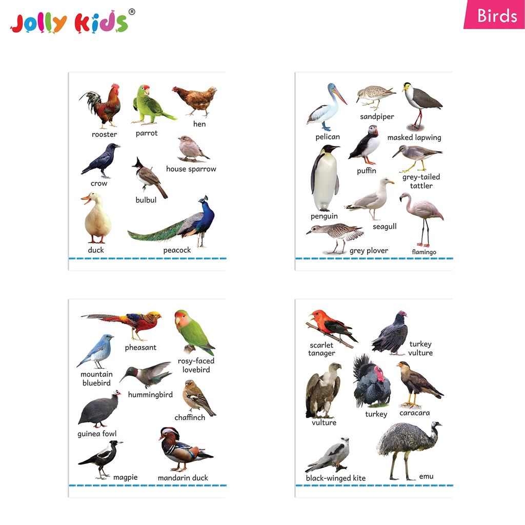 Jolly-Kids-My-Big-Board-Books-Set-of-8-7.webp