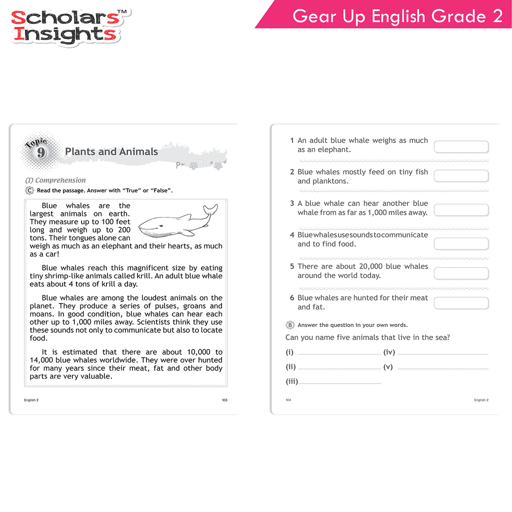 Scholars-Insights-English-Grade-2-6.webp