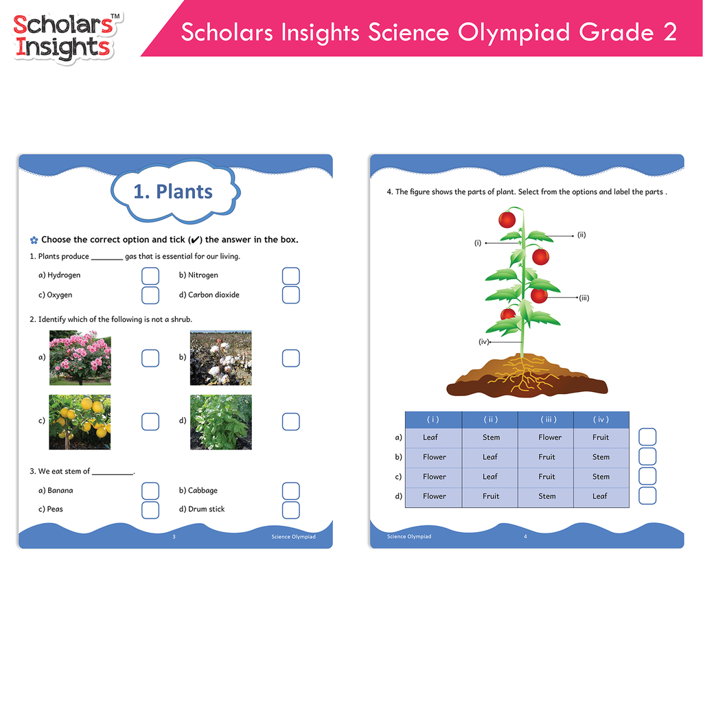 Scholars-Insights-Science-Olympiad-Grade-2-3.webp