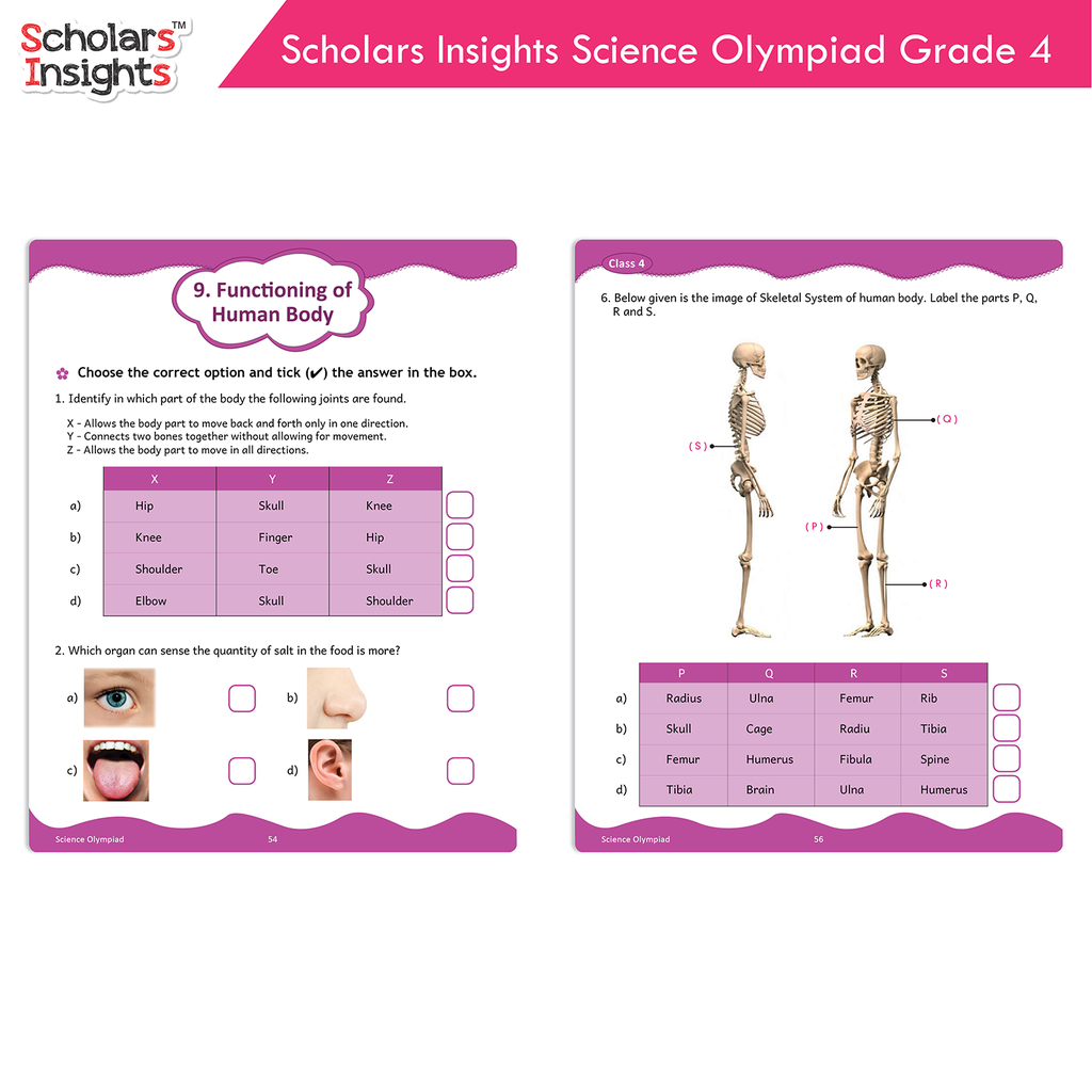 Scholars-Insights-Science-Olympiad-Grade-4-7.webp