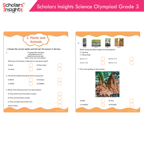 Scholars-Insights-Science-Olympiad-Grade-3-3-600x600.webp
