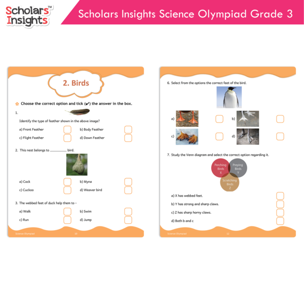 Scholars-Insights-Science-Olympiad-Grade-3-4-600x600.webp