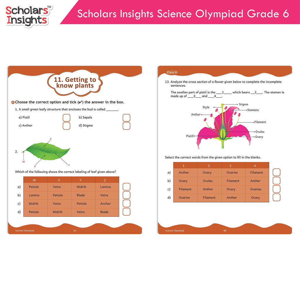 Scholars-Insights-Science-Olympiad-Grade-6-8.webp