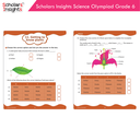 Scholars-Insights-Science-Olympiad-Grade-6-8.webp