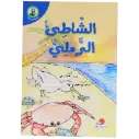 الشاطىء الرملي
