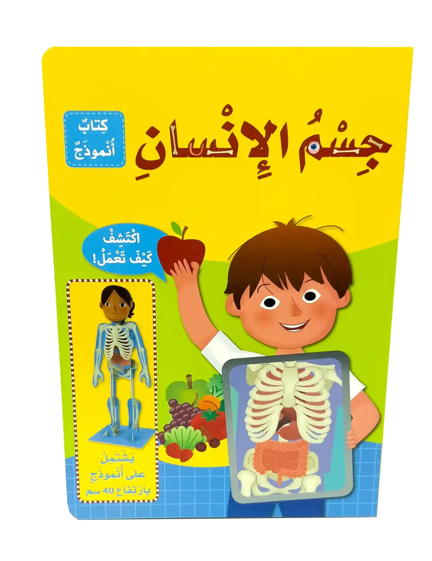 جسم الانسان - كتاب انموذج
