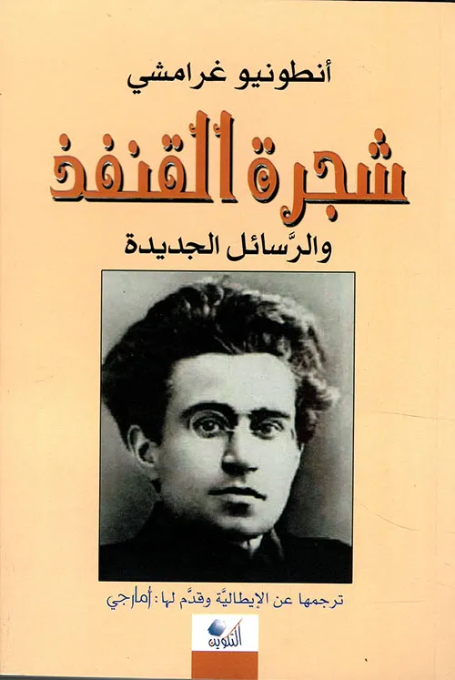 شجرة القنفذ