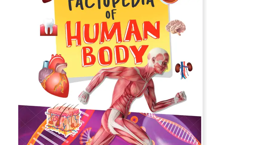 Jolly Kids Factopedia of Human Body